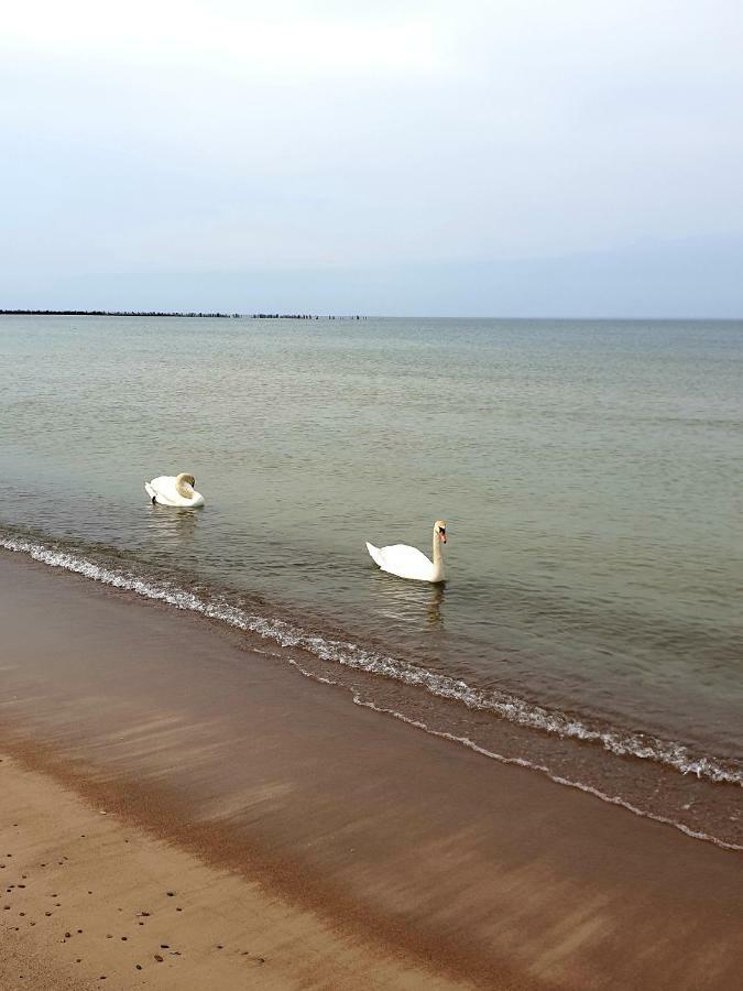 Palanga Apartments Near Baltic Sea Esterno foto